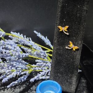 Dragonfly Stud Earrings